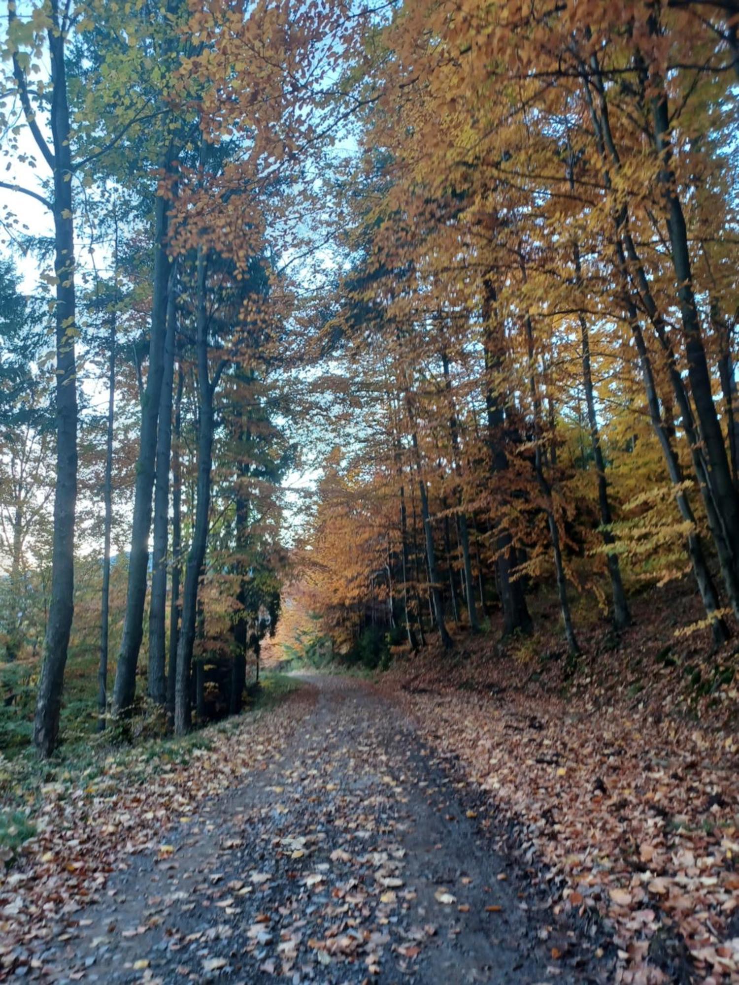 Domek Na Skalce Zabnica Luaran gambar